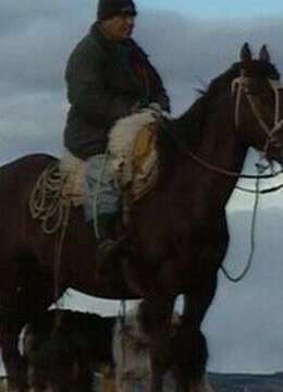 天尽头巴塔哥尼亚